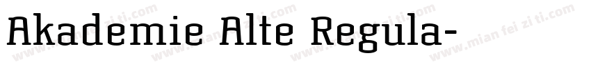 Akademie Alte Regula字体转换